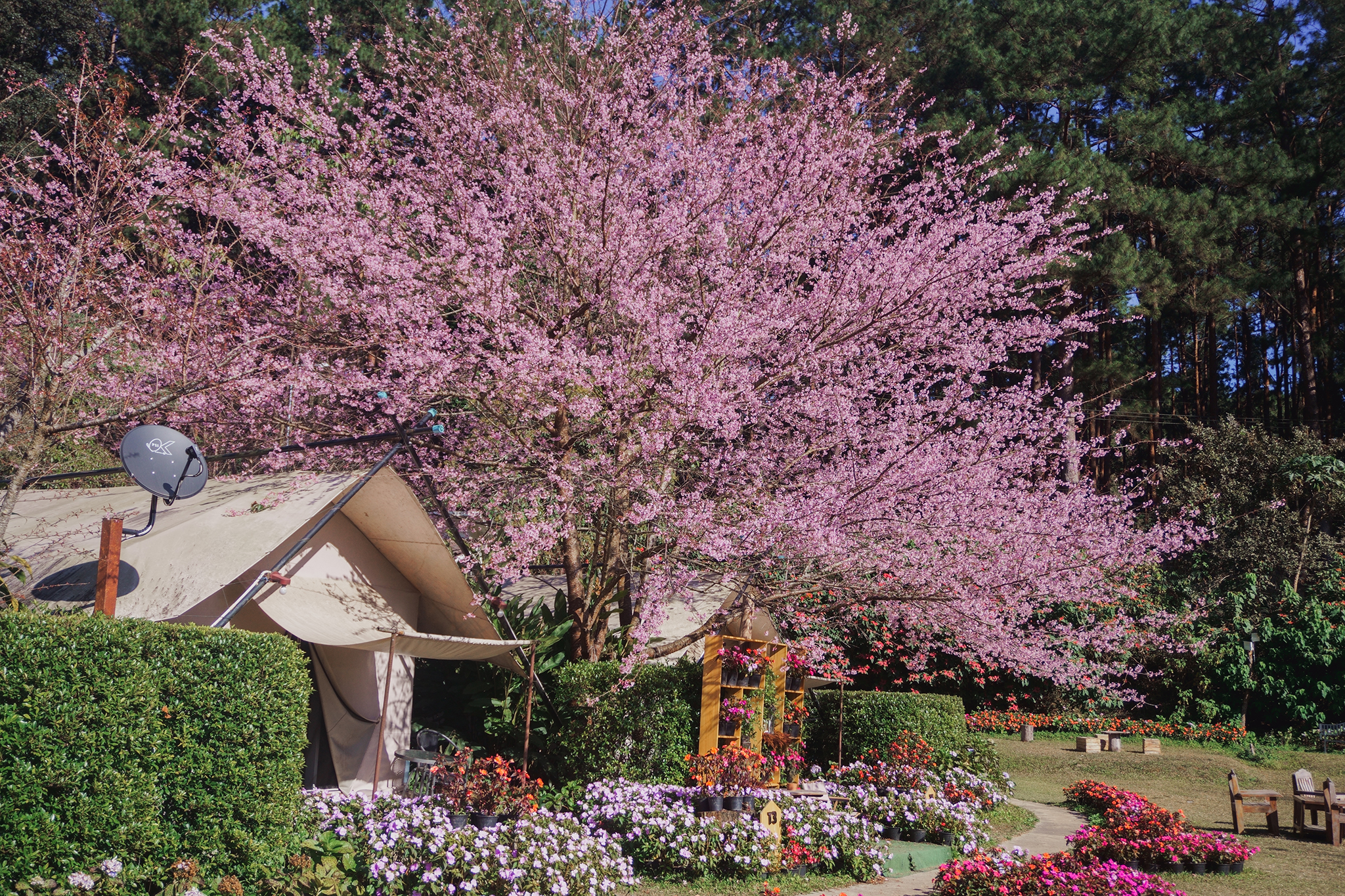The Garden Inthanon 2